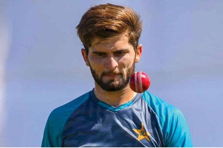 শাহিনের মতো ফাস্ট বোলার প্রতিদিন জন্মায় না : আকিব জাভেদ