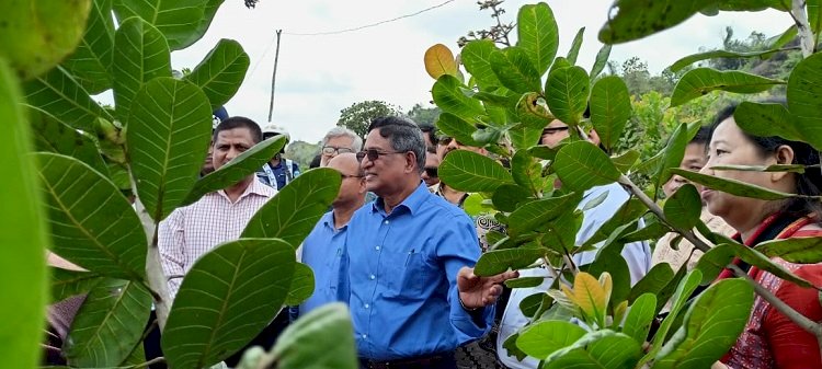 দেশের অর্থনীতিতে বিপ্লব ঘটাবে পাহাড়ের কফি ও কাজু বাদাম: কৃষিমন্ত্রী