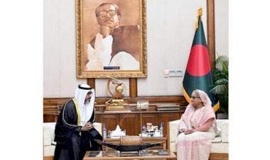 প্রধানমন্ত্রীকে সমুদ্র বন্দর ও অবকাঠামোতে অব্যাহত সহযোগিতার আশ্বাস ইউএই রাষ্ট্রদূতের