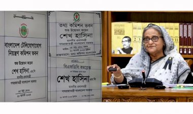 বাংলাদেশের উন্নয়নের অগ্রযাত্রা অব্যাহত রাখতে চান প্রধানমন্ত্রী