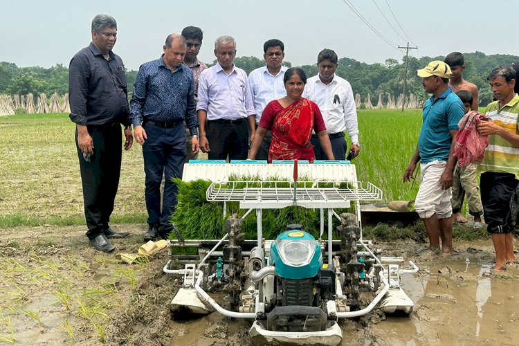 উদ্যোগতা তৈরিতে ‘রাইস ট্রান্সপ্লান্টার’ : কৃষিতে বাড়ছে নারীর অংশগ্রহণ