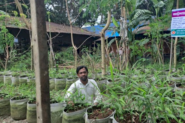 দেশে জনপ্রিয় হয়ে উঠছে ‘ব্যাগিং পদ্ধতি’তে আদা চাষ