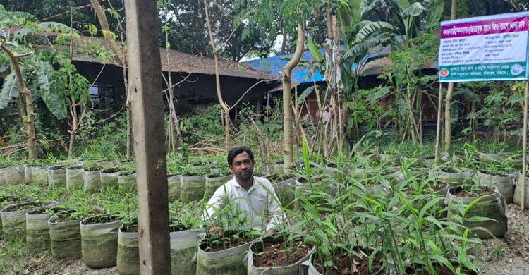 দেশে জনপ্রিয় হয়ে উঠছে ‘ব্যাগিং পদ্ধতি’তে আদা চাষ