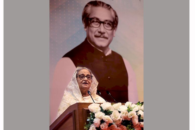 দেশের টেকসই উন্নয়নে সুনির্দিষ্ট পরিকল্পনা নিয়ে কাজ করুন: প্রধানমন্ত্রী