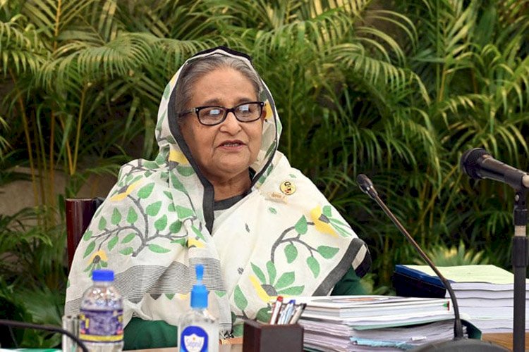 ধীরে ধীরে ভর্তুকি প্রবণতা থেকে বেরিয়ে আসার নির্দেশনা প্রধানমন্ত্রীর