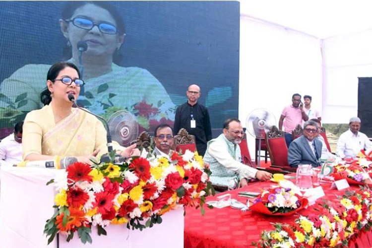 পরিবেশের সুরক্ষা ছাড়া টেকসই উন্নয়ন সম্ভব নয়: সৈয়দা রিজওয়ানা হাসান